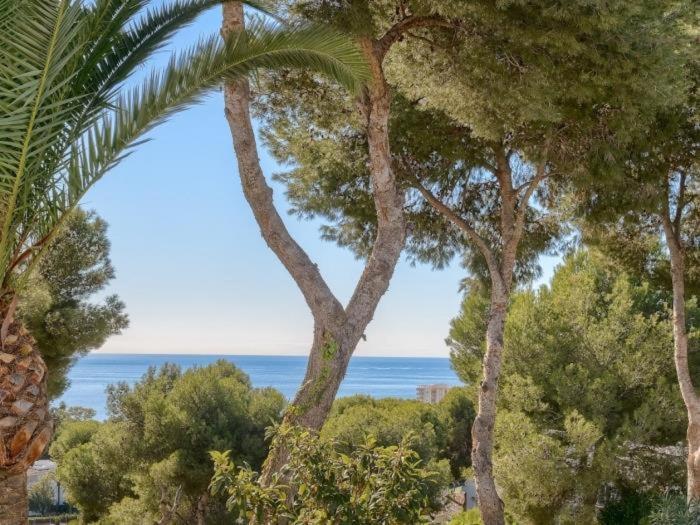 Miraflores Jardin B 32, Pool, Wifi In Mijas Costa 라칼라데미야스 외부 사진